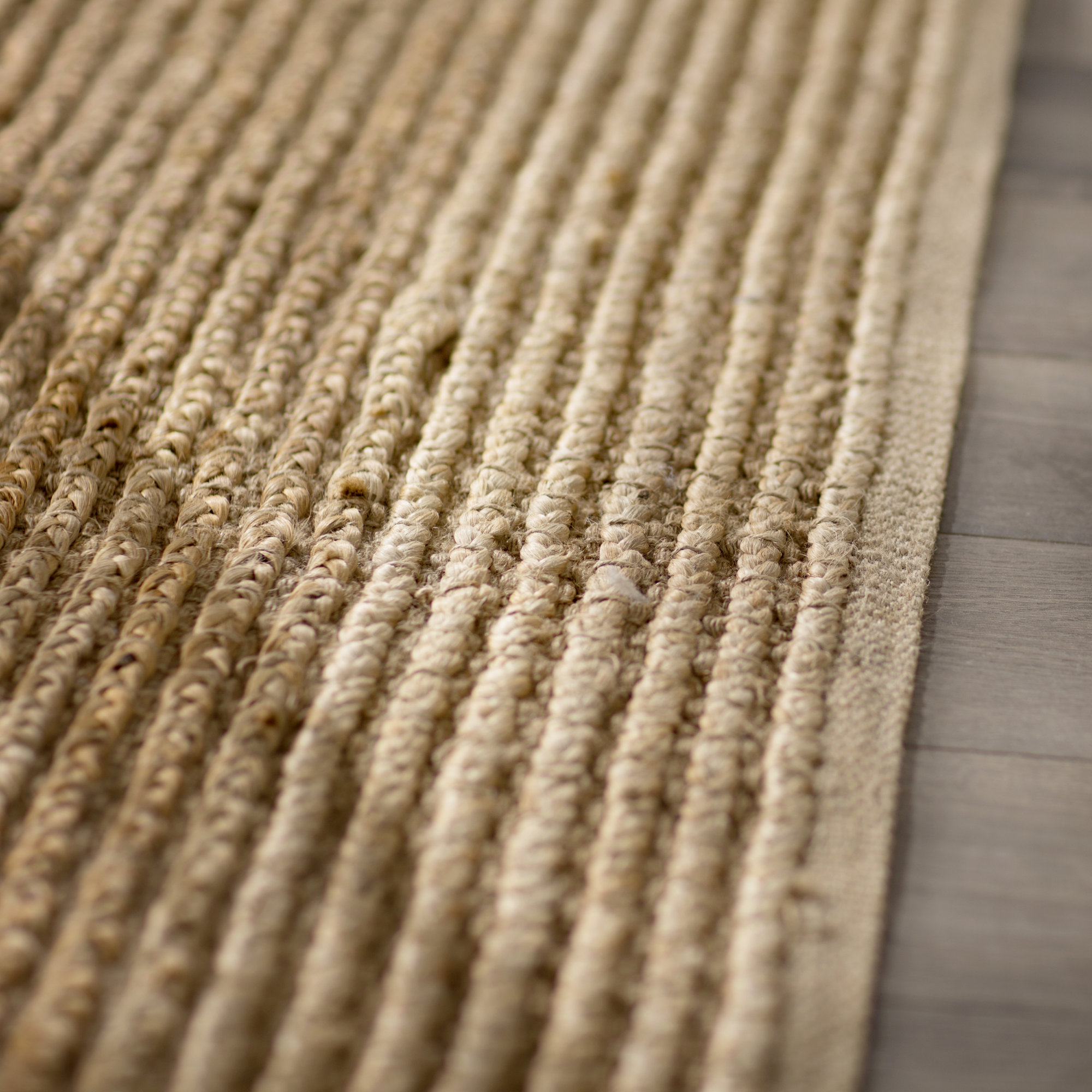 Beachcrest Home Gilchrist HandWoven Beige Area Rug & Reviews Wayfair.ca